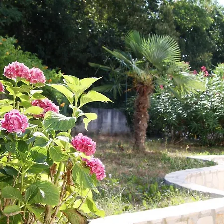 Apartman Vienna Zambratija (Istria)